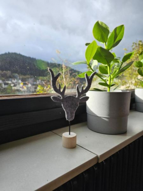 Ferienwohnung Am Lehen Schiltach